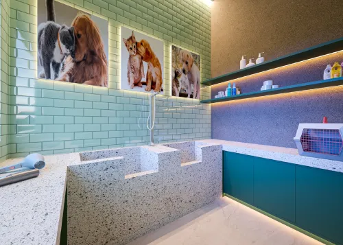 Galeria do projeto 13