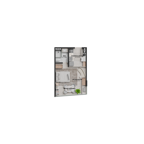 planta 5